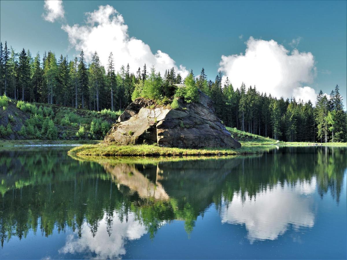 Naturforsthaus Gartenblick Fuer Hunde - Und Naturverbundene Menschen Panzió Preitenegg Kültér fotó