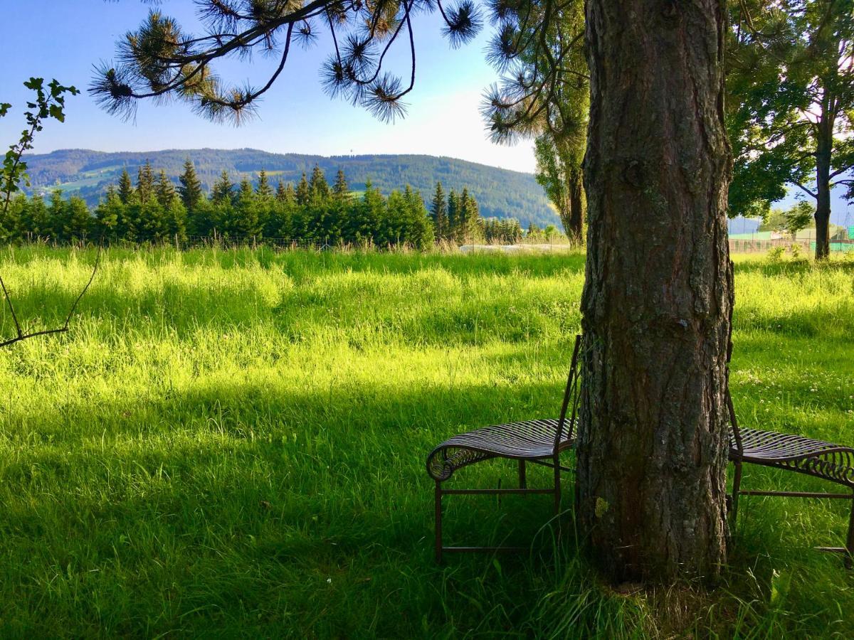 Naturforsthaus Gartenblick Fuer Hunde - Und Naturverbundene Menschen Panzió Preitenegg Kültér fotó