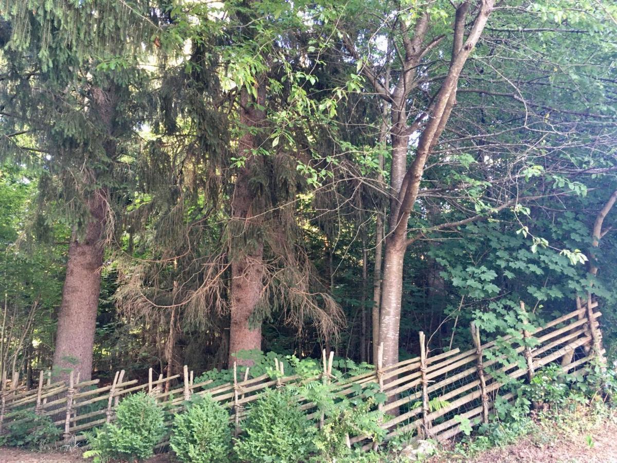 Naturforsthaus Gartenblick Fuer Hunde - Und Naturverbundene Menschen Panzió Preitenegg Kültér fotó