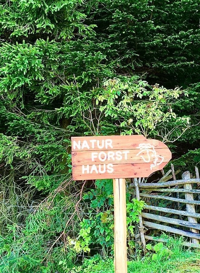 Naturforsthaus Gartenblick Fuer Hunde - Und Naturverbundene Menschen Panzió Preitenegg Kültér fotó