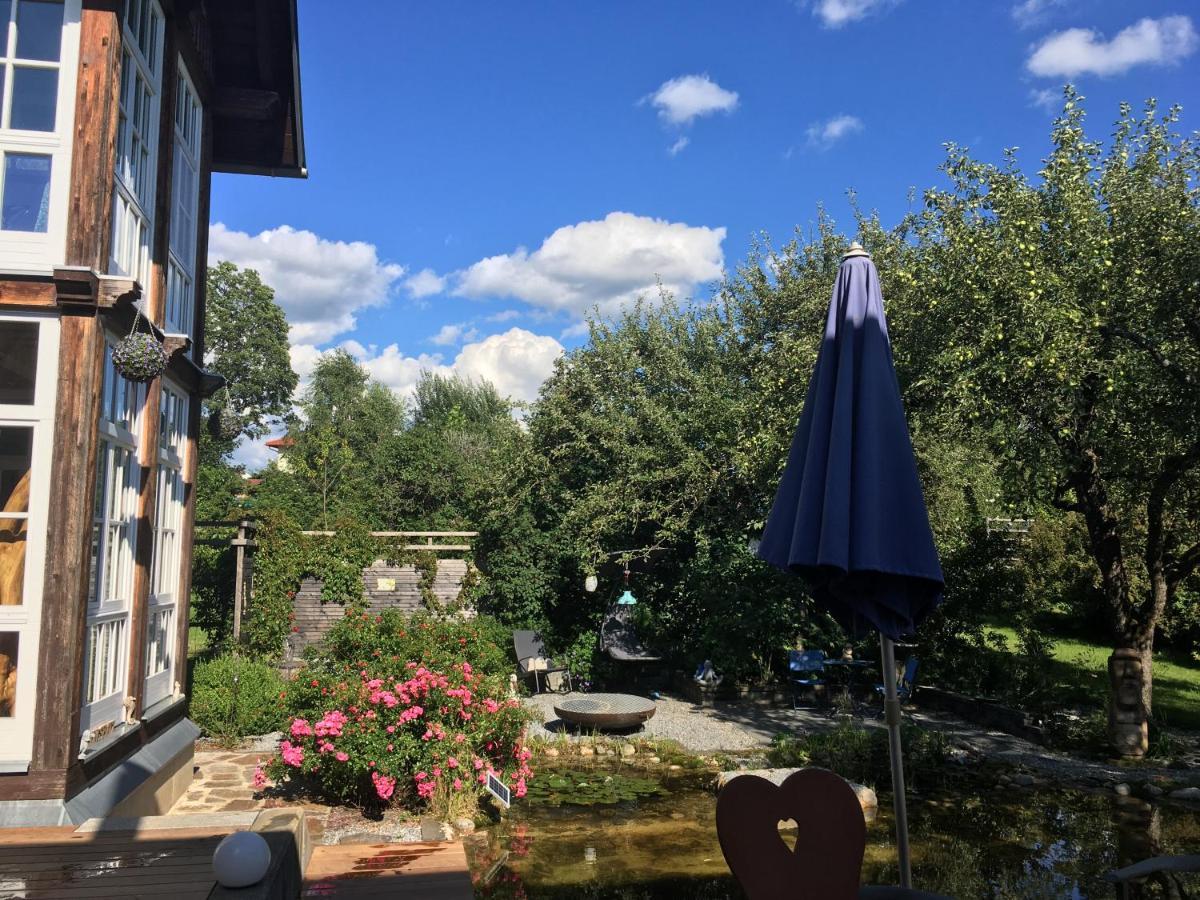 Naturforsthaus Gartenblick Fuer Hunde - Und Naturverbundene Menschen Preitenegg Kültér fotó