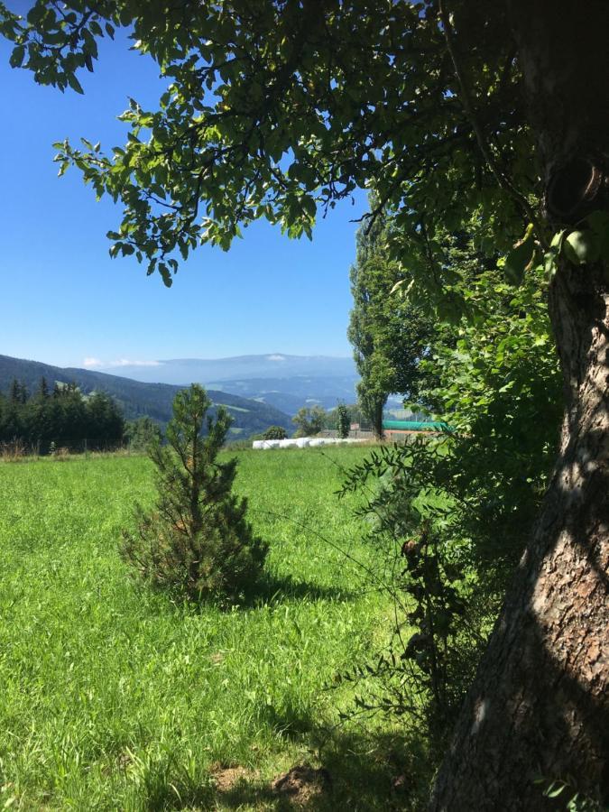 Naturforsthaus Gartenblick Fuer Hunde - Und Naturverbundene Menschen Panzió Preitenegg Kültér fotó