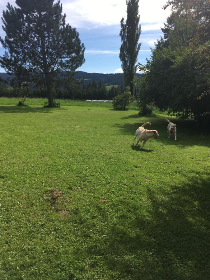 Naturforsthaus Gartenblick Fuer Hunde - Und Naturverbundene Menschen Panzió Preitenegg Kültér fotó