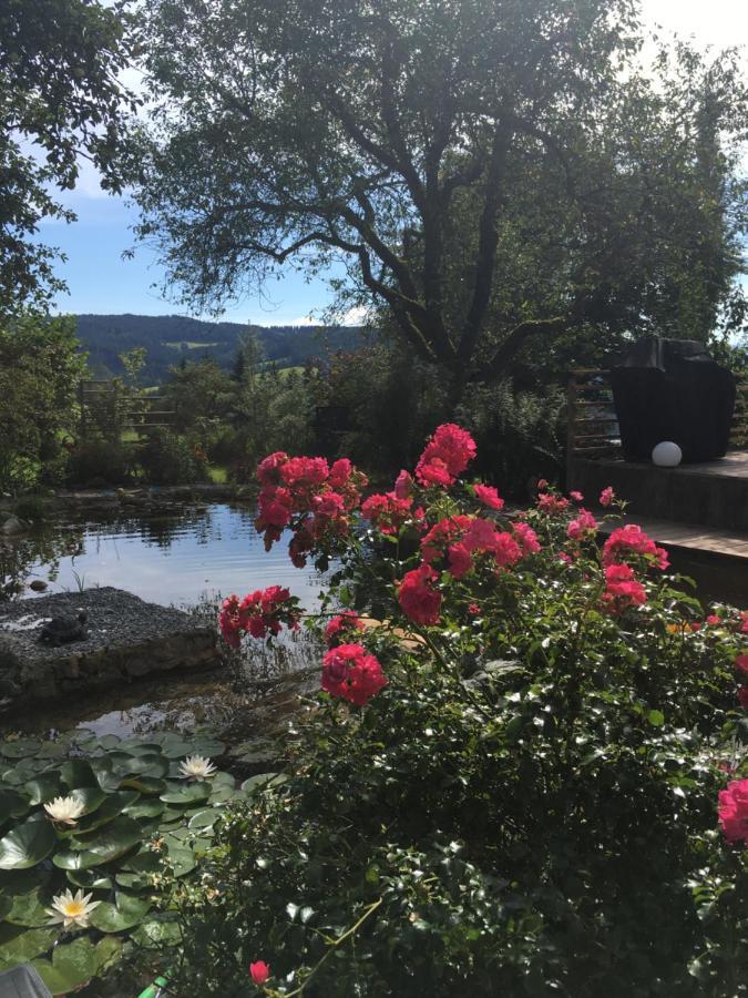 Naturforsthaus Gartenblick Fuer Hunde - Und Naturverbundene Menschen Panzió Preitenegg Kültér fotó